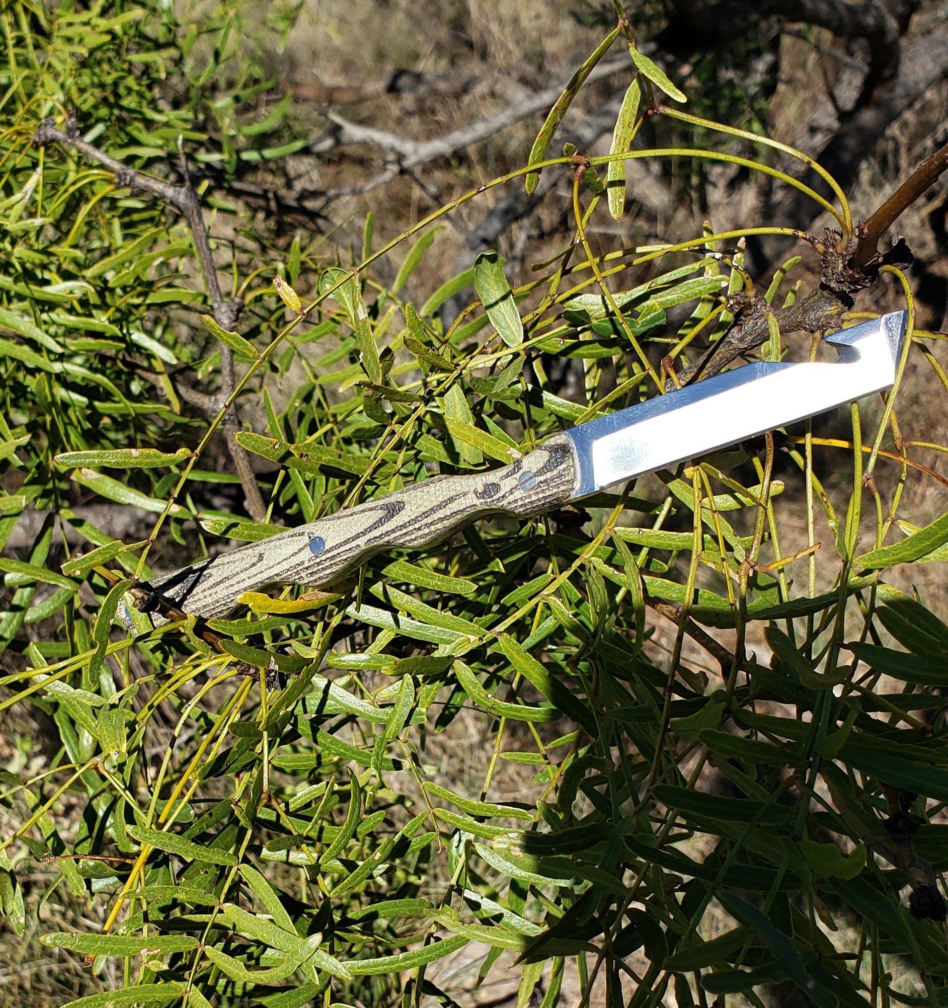 Templar Knife Concept Edition - Green Woodgrain handle