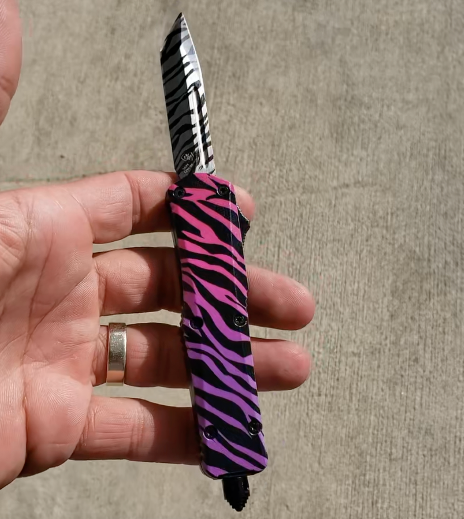 Templar Knife Concept Edition - Zebra